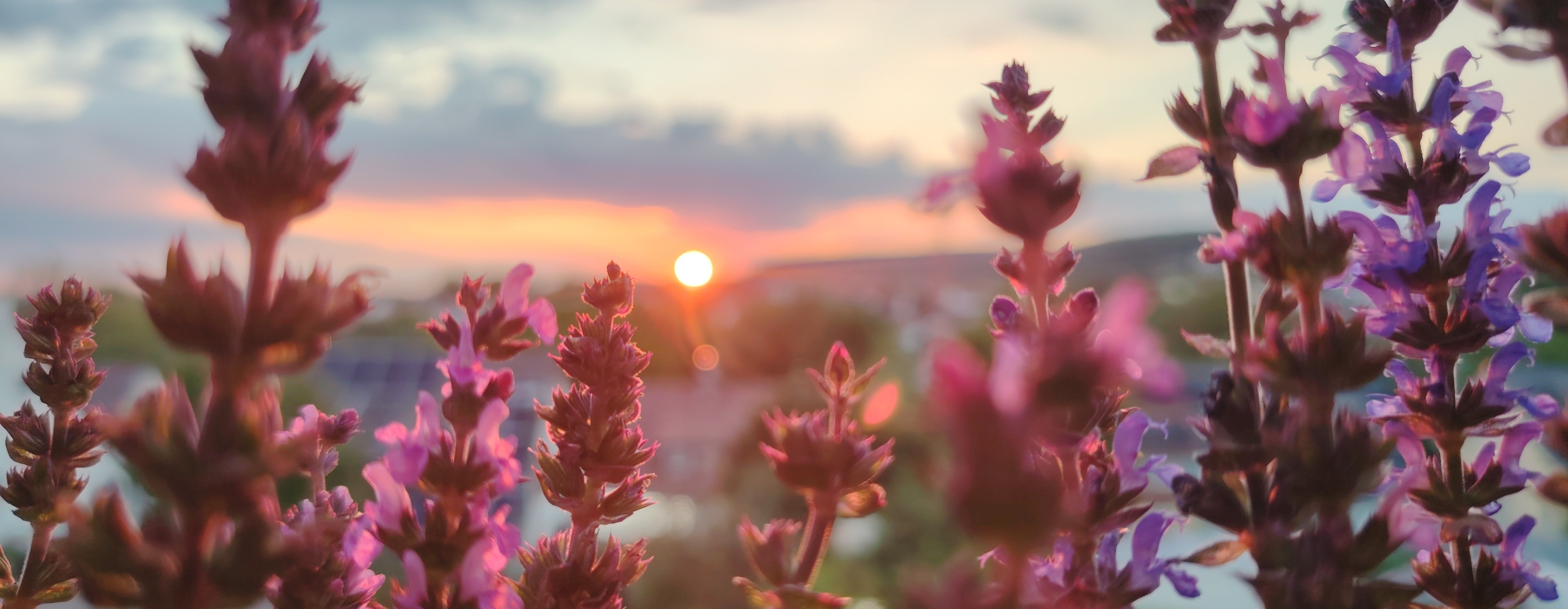 Sonnenuntergang